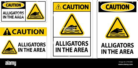 Caution Alligators In The Area Sign Stock Vector Image And Art Alamy