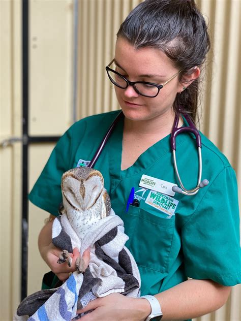 Dr Tara Gatehouse