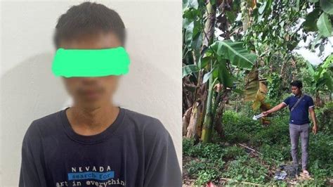 Gadis Usia Tahun Di Bengkulu Dicabuli Pacar Di Bawah Pohon Pisang