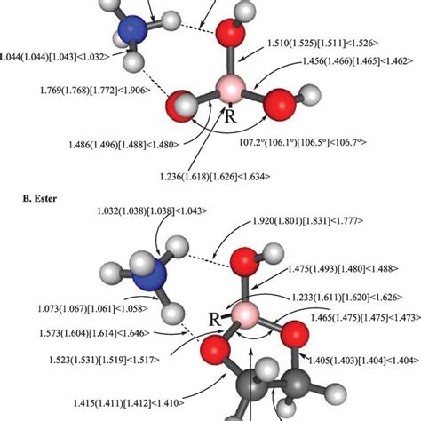 Selected bond lengths (Å) and bond angles (°) for A RB(OH)2 and B ...