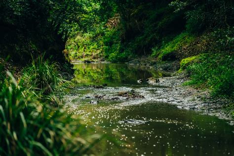 Currambene Creek Farm Hipcamp In Falls Creek New South Wales