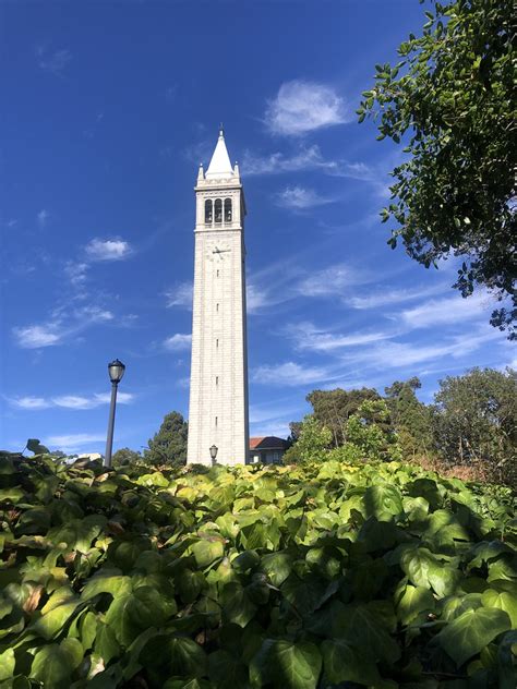 Afternoon On Campus Uc Berkeleys Iconic Bell Tower The C Melystu