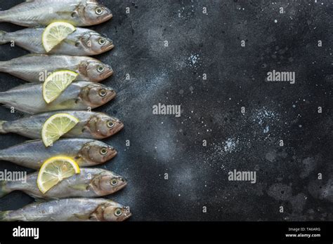 Black Sea Bluefish On Black Vintage Background Fish Pattern With Space