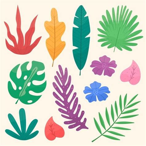 Colección de flores y hojas tropicales v Free Vector Freepik