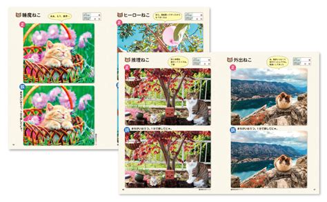 毎日脳活スペシャル ねこのまちがいさがし3 にゃんと1分見るだけ！記憶脳瞬間強化 古賀良彦 本 通販 Amazon