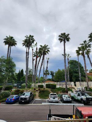 FOUR SEASONS TREE CARE Updated January 2025 975 Linda Vista Dr San