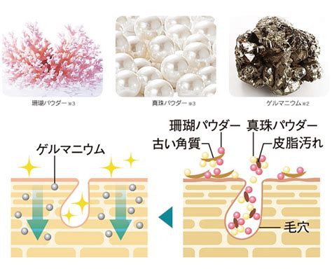 Tẩy tế bào chết dưỡng trắng vùng bikini Shirowaki Hime Night Pack 35g HADA Cosmetic