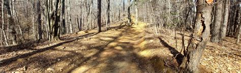 Uwharrie Ohv Trail 170 Reviews Map North Carolina Alltrails