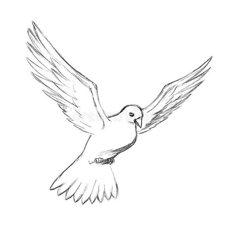 Pencil Drawing The Holy Spirit In The Form Of A Dove Turns A Thorn