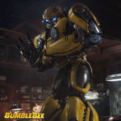 Bumblebee GIFs - Find & Share on GIPHY