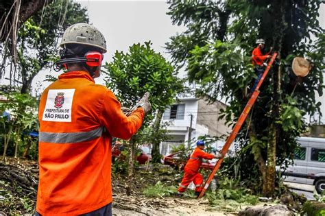 Mais De Mil Rvores Galhos Em Contato Fios El Tricos Aguardam