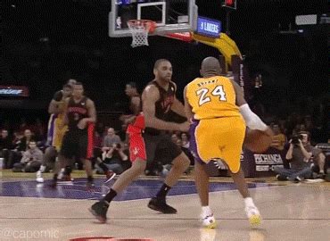 Kobe Bryant GIFs - Get the best GIF on GIPHY