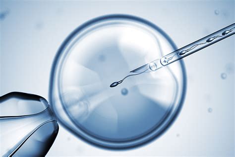 In Vitro Fertilization Damien Fertility Partners