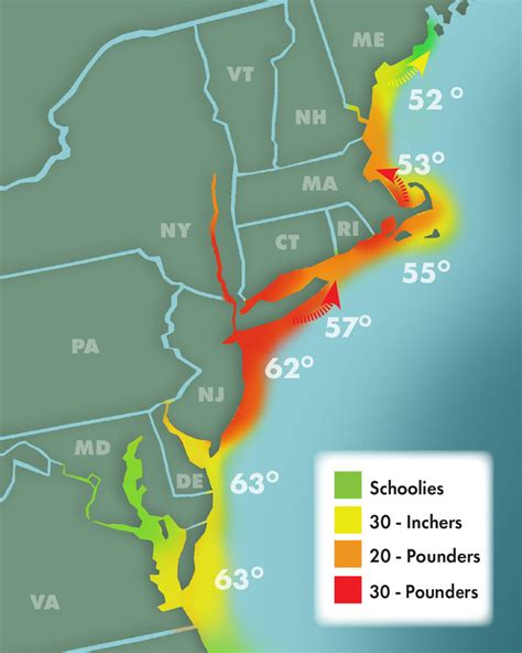 The Spring Striped Bass Migration GoFisherMen