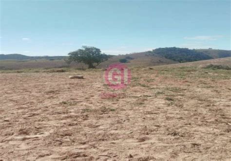 Fazendas à venda no Jardim Albuquerque em Santa Branca Chaves na Mão