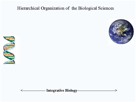 Biology Ecology Professor Eric R Pianka