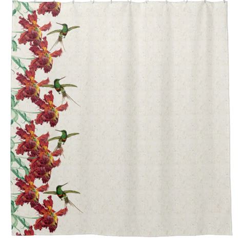 Hummingbird Birds And Tulip Flowers Shower Curtain Zazzle