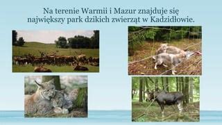 Prezentacja Warmi I Mazury Ppt