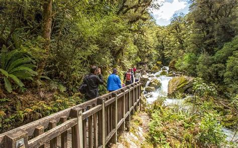 Milford Track – Guided Tours from Te Anau & Queenstown