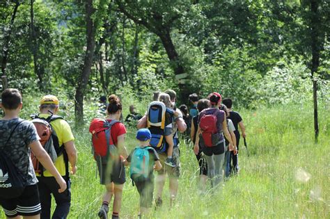 I metodi di gestione sulla biodiversità la prima analisi su vasta scala