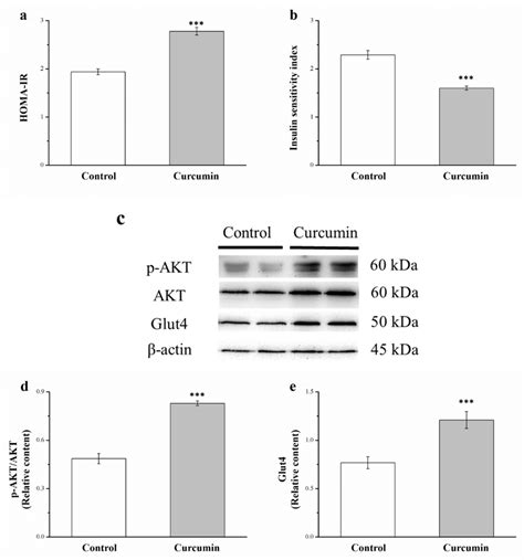 A Homeostatic Model Assessment Of Insulin Resistance Homa Ir Index