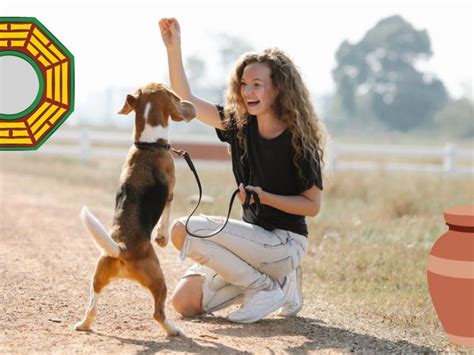 Es Seguro Tener Las Cenizas De Tu Mascota En Casa Aprende Los Riesgos