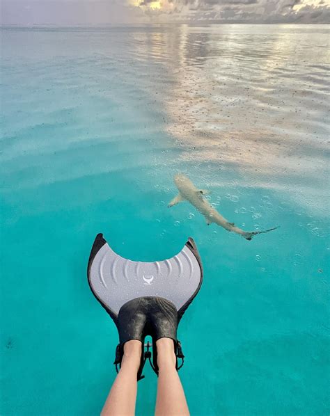 Weeki Wachee Springs... - Weeki Wachee Springs State Park