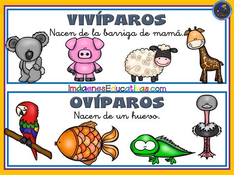 Tipos De Animales 2 Imagenes Educativas