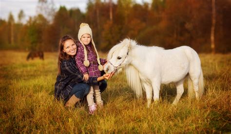 Considerations for Riding Miniature Horses - Helpful Horse Hints