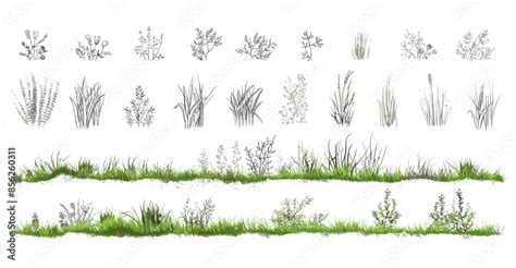 Grass Line Cad Silhouettes Set Isolated On White Background Ground