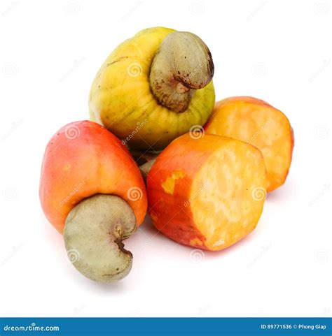 Fruto Do Caju De Caju Do Brasileiro Foto De Stock Imagem De Gordo