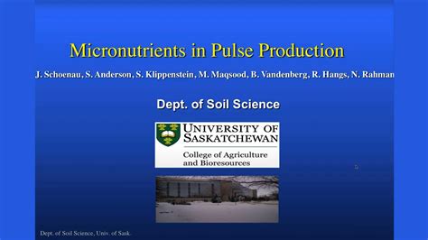 Pulse Agronomy Webinar Micronutrients In Pulse Production