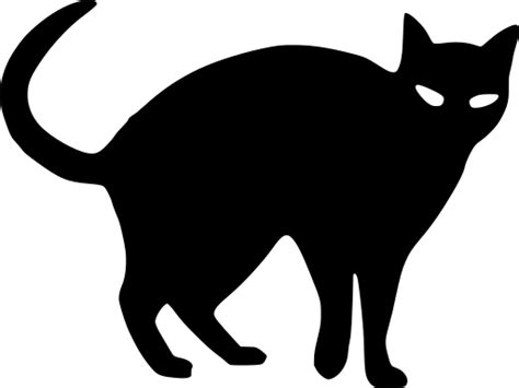 Svg Cat Scared Cartoon Halloween Free Svg Image Icon Svg Silh