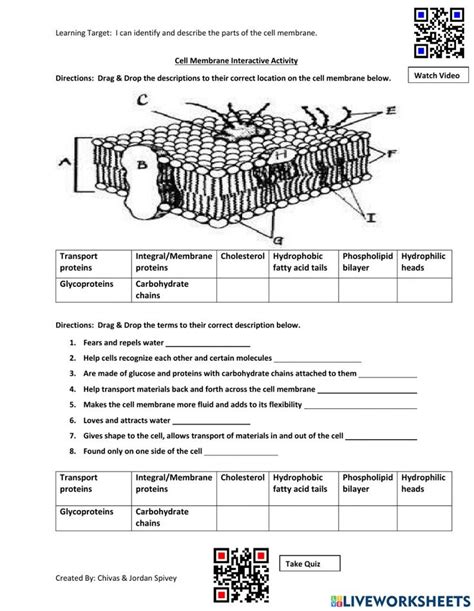 Cell Membrane Worksheet Answers Cell Membrane Coloring Worksheet Cell Membrane Cell Membrane