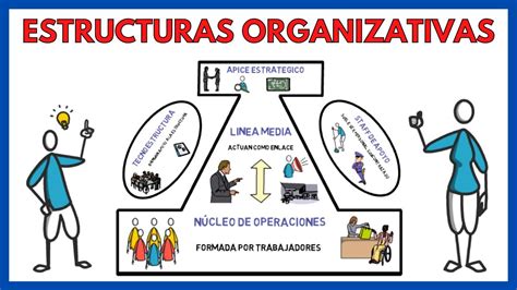 ESTRUCTURAS ORGANIZATIVAS de una EMPRESA Ejemplos Economía de la