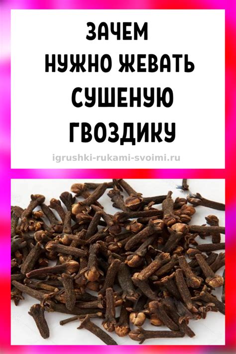 Зачем нужно жевать сушеную гвоздику