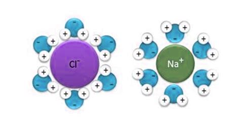 Polarity Definition And Example Polar Vs Non Polar Molecules