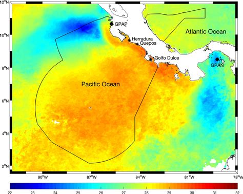 Frontiers Trends And Variability In Local Abundances Of Sailfish