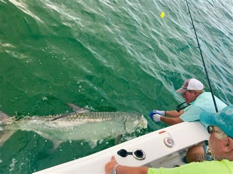 Tarpon Fishing In Boca Grande The Complete Guide Updated 2023