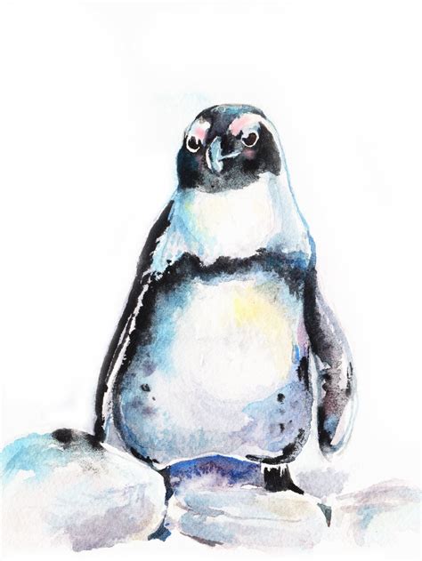 African Penguin Watercolor Bird Painting By Christy Dekoning Bird