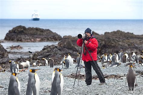 Macquarie Island - WorldAtlas