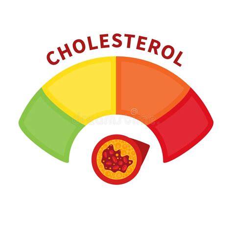 LDL Cholesterol Level Meter Gauge with Blood Vessel Diagram Stock Vector - Illustration of heart ...