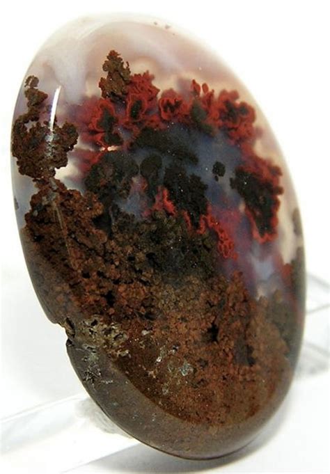 Red Plume Moss Agate Stone Cabochon Carats