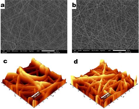 SEM A And B And AFM C And D Images Of Electrospun PAN And PAN CD