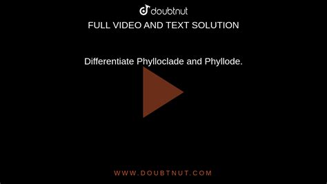 Differentiate Phylloclade and Phyllode.