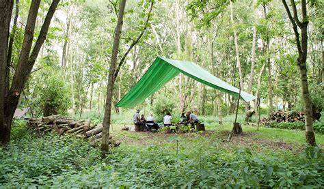 Lee Valley Almost Wild Campsite Broxbourne Camping Park In