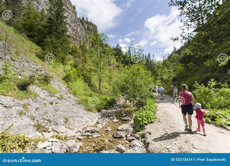 Mountain Ravine Stock Photo Image Of Recreation Rock 53372614