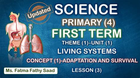 Science Primary 4 First Term Unit 1 Concept 1 Lesson 3 Digestive