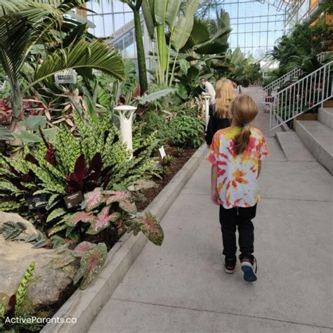 Gage Park Greenhouse: Tropical Oasis in The City – Active Parents