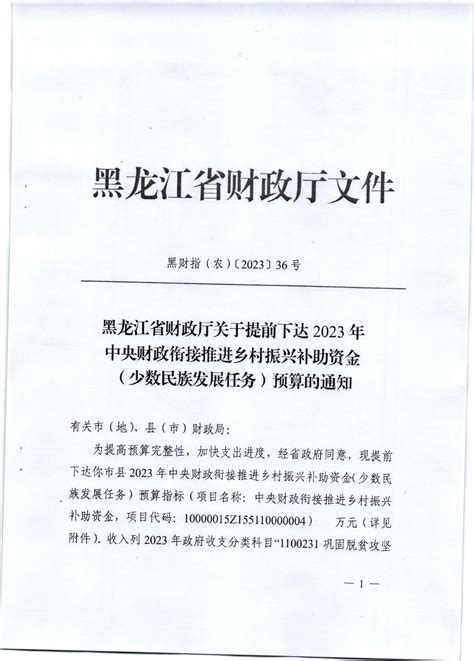 黑龙江省财政厅关于提前下达2023年中央财政衔接推进乡村振兴补助资金（少数民族发展任务）预算的通知2023年衔接推进乡村振兴补助资金安排情况